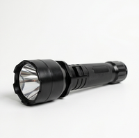Lanterna 8001